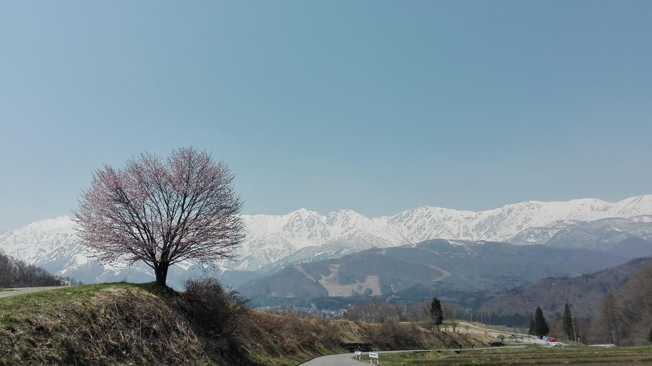 Pension Blue Hakuba Exteriér fotografie